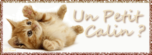 chat001-47f6026.gif