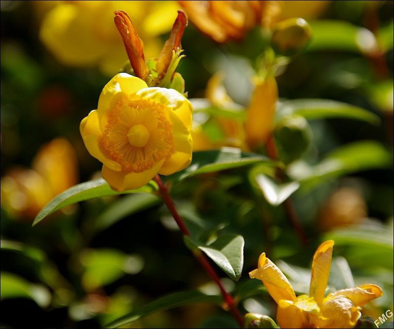 http://img110.xooimage.com/files/e/f/e/k5__1029_c_v-4baf6ef.jpg