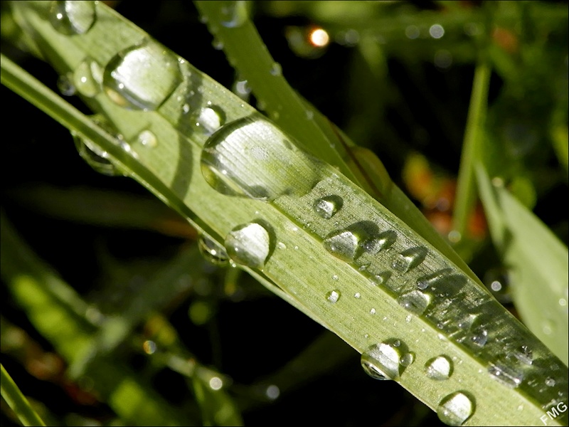 http://img110.xooimage.com/files/f/0/5/p2190762_v-4e7c7ff.jpg