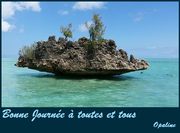 Les bonjour et bonne nuit du 1er janvier 2019 AU 1er Janvier 2020 - Page 6 14627819_12597515...859098_n-5579e4b