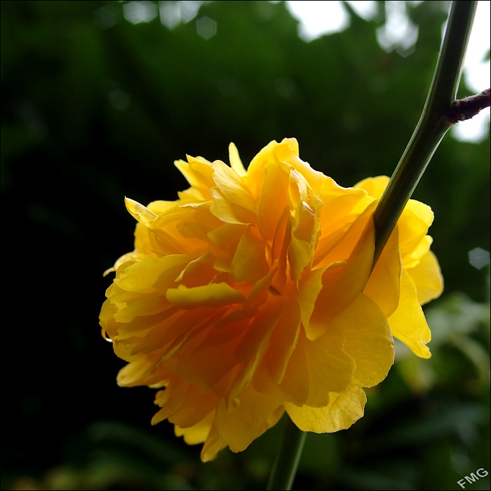 http://img110.xooimage.com/files/f/0/e/mxfg4151_ck_v-4dc7eff.jpg