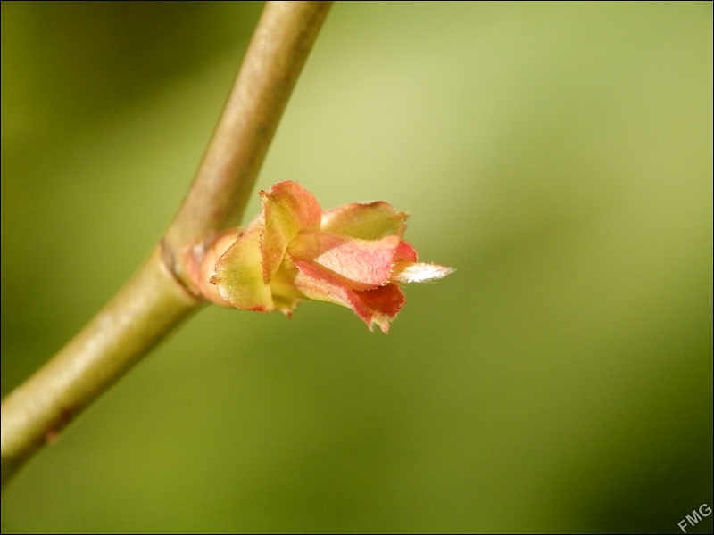 http://img110.xooimage.com/files/f/2/8/p2190751_v-4e7c6d5.jpg