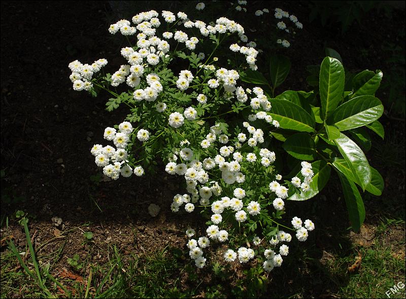 http://img110.xooimage.com/files/f/3/4/k5__0944_c_v-4baae55.jpg