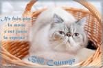 JANVIER : En janvier, le paysage n'a rien - Page 6 Bon-courage-pour-la-reprise-53bd107