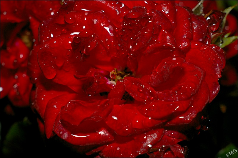 http://img110.xooimage.com/files/f/4/8/imgp5197_v-4d2cfe1.jpg