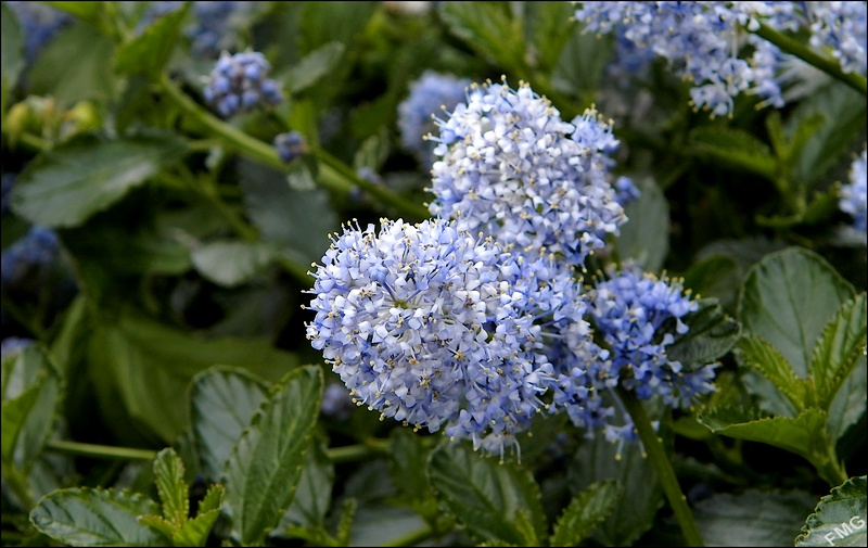 http://img110.xooimage.com/files/f/4/8/p4240664_c_v-4d92005.jpg