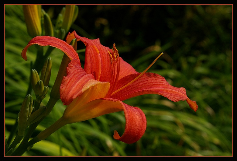http://img110.xooimage.com/files/f/8/4/imgp1738_f_v-4e7a4a2.jpg