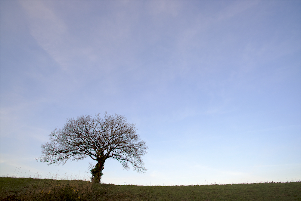 Soleil hivernal _dsc1376-559ec9d