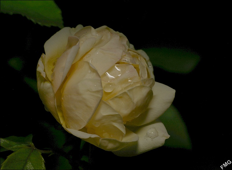 http://img110.xooimage.com/files/f/d/6/imgp5003_c_v-4bc0837.jpg