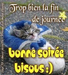 Bonjour / Bonsoir d' AOUT - Page 5 F3076db9a2f25482a...idi-coco-52edaf9