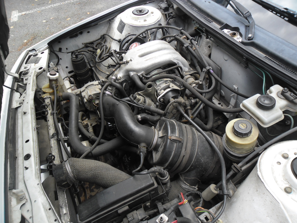 sam_4536-4c61cbe.jpg
